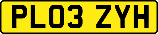 PL03ZYH