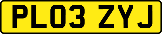 PL03ZYJ