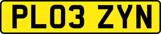 PL03ZYN