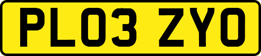 PL03ZYO