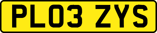 PL03ZYS
