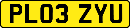 PL03ZYU