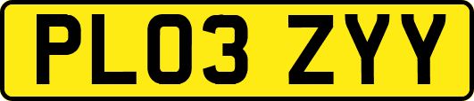 PL03ZYY