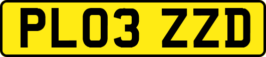 PL03ZZD