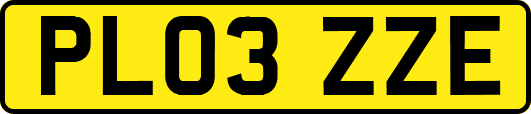 PL03ZZE