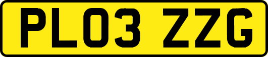 PL03ZZG