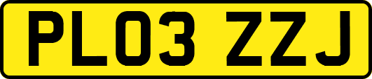 PL03ZZJ