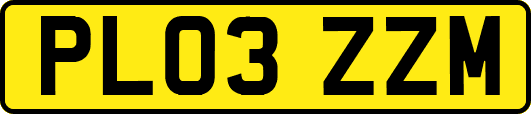 PL03ZZM