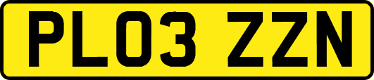 PL03ZZN