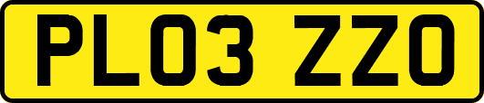PL03ZZO