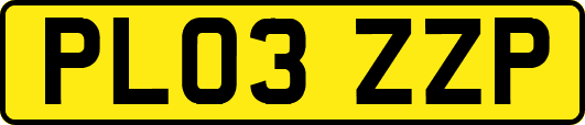 PL03ZZP