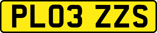 PL03ZZS