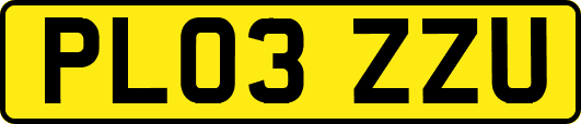 PL03ZZU