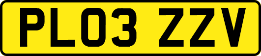 PL03ZZV