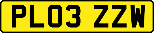PL03ZZW