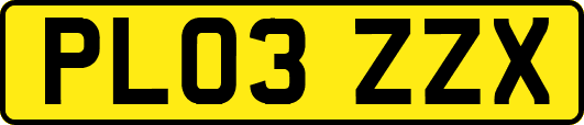 PL03ZZX