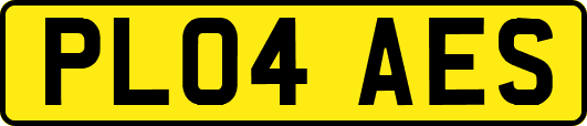 PL04AES