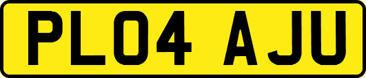 PL04AJU