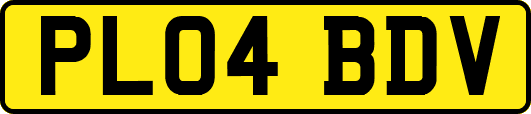 PL04BDV