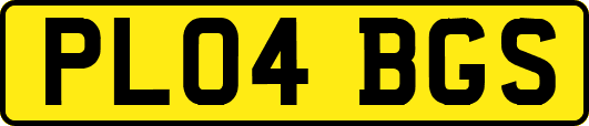 PL04BGS