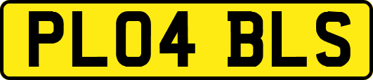 PL04BLS