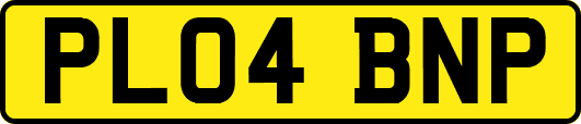 PL04BNP