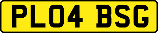 PL04BSG