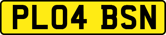 PL04BSN