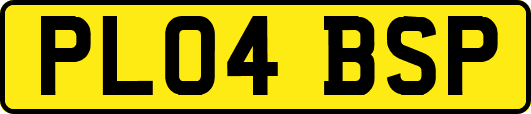 PL04BSP