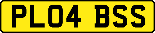 PL04BSS