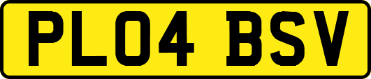 PL04BSV