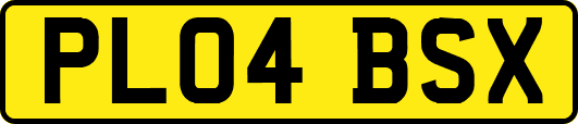 PL04BSX