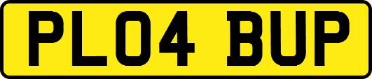 PL04BUP