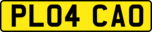 PL04CAO