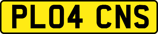PL04CNS
