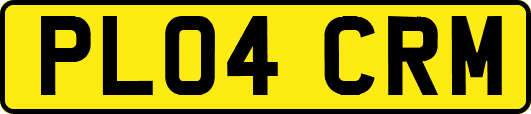 PL04CRM