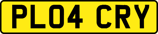 PL04CRY
