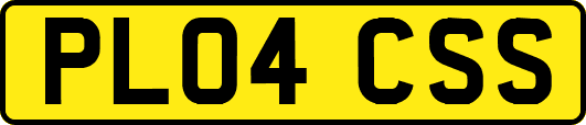 PL04CSS