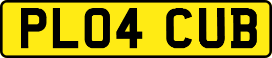 PL04CUB