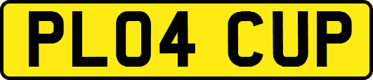 PL04CUP