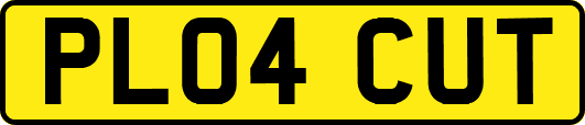 PL04CUT
