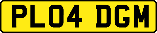 PL04DGM