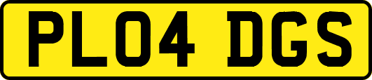 PL04DGS