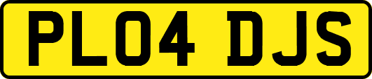 PL04DJS