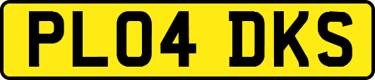 PL04DKS