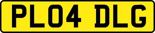 PL04DLG