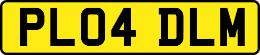 PL04DLM