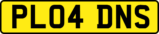 PL04DNS