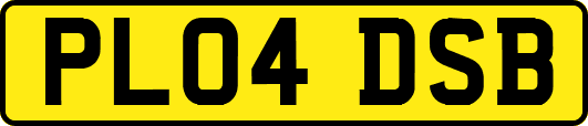 PL04DSB