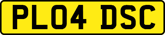 PL04DSC
